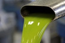 Perché l’olio nuovo pizzica ed è amaro? 6 Perché l’olio nuovo pizzica ed è amaro?